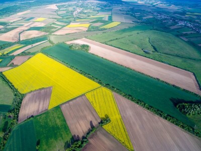 Iznad polja uljane repice