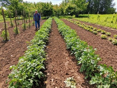 Iznajmljivanje bašti po uzoru na Švajcarsku