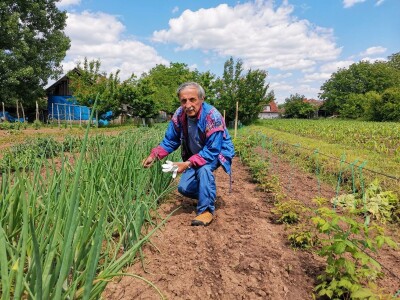 Iznajmljivanje bašti po uzoru na Švajcarsku
