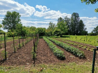 Iznajmljivanje bašti po uzoru na Švajcarsku