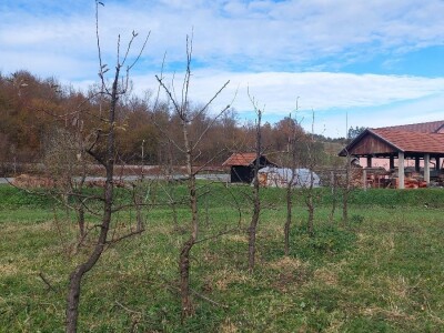 Izolacija vrhova krušaka