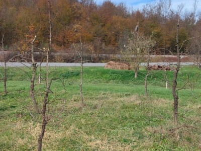 Izolacija vrhova krušaka