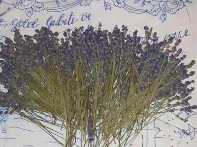 Izrada prirodne kozmetike