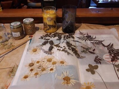 Izrada prirodne kozmetike