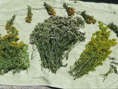 Izrada prirodne kozmetike