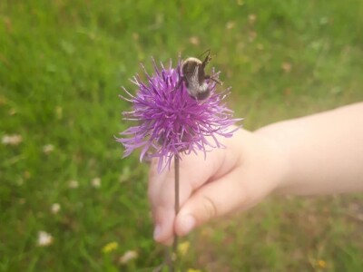 Izrada prirodne kozmetike