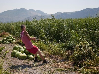 Izvlaćenje na ruke čamca s lubenicama, a nekada je slično bilo lancanje