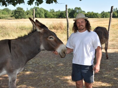 Izvorne pasmine domaćih životinja Istre