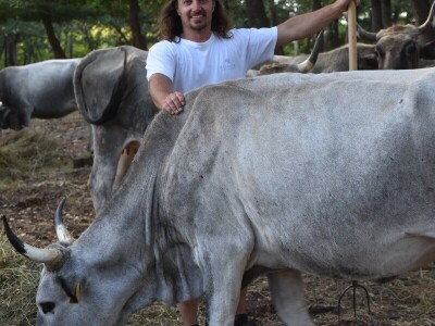 Izvorne pasmine domaćih životinja Istre