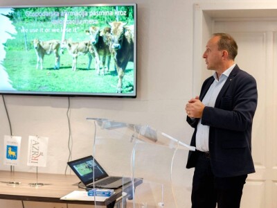 Izvorne  pasmine  goveda