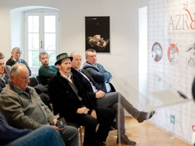 Izvorne  pasmine  goveda