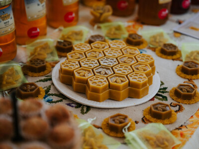 Izvorno iz Lonjskog polja