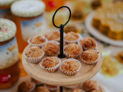 Izvorno iz Lonjskog polja