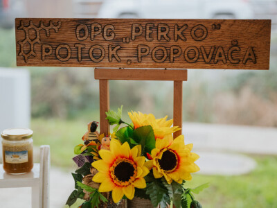 Izvorno iz Lonjskog polja