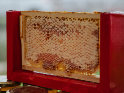 Izvorno iz Lonjskog polja