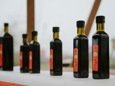 Izvorno iz Lonjskog polja