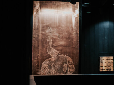 Izvorno iz Lonjskog polja