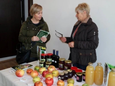 Izložba jabuka u Sv. Martinu na Muri
