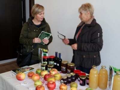 Izložba jabuka u Sv. Martinu na Muri