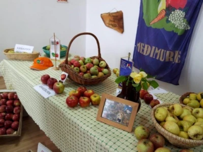 Izložba jabuka u Sv. Martinu na Muri