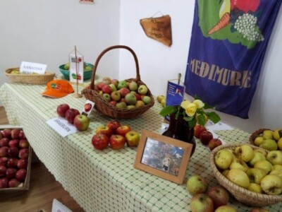 Izložba jabuka u Sv. Martinu na Muri