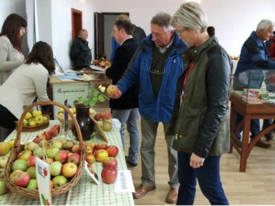 Izložba jabuka u Sv. Martinu na Muri