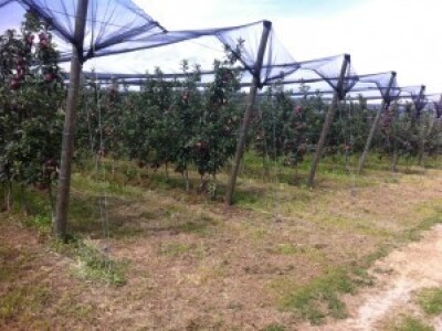 Za hladnjaču isplaćeno 3,38 milijuna kuna iz IPARD-a