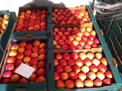 Za hladnjaču isplaćeno 3,38 milijuna kuna iz IPARD-a