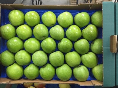 Za hladnjaču isplaćeno 3,38 milijuna kuna iz IPARD-a