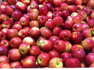 Za hladnjaču isplaćeno 3,38 milijuna kuna iz IPARD-a