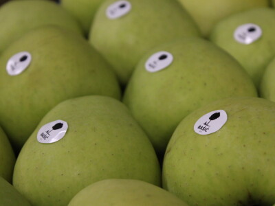 Jabike i kruške OPG Vesna Bašić