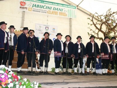 Pjesma i narodni običaji
