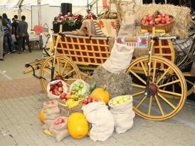 Ukrašena šokačka kola