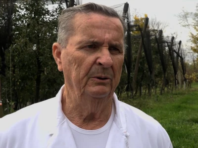 Jabučna komina