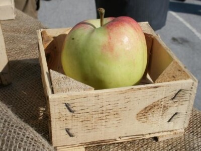 Jabuka u prigodnoj ambalaži