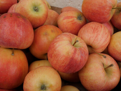 On je junak, a ona šefica! Eldin i Armina Muhović prepoznali blagodati sela