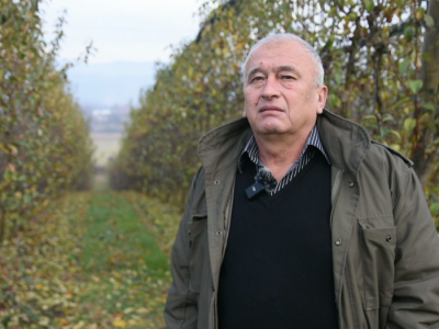 Jabuke iz Arilja - loša godina