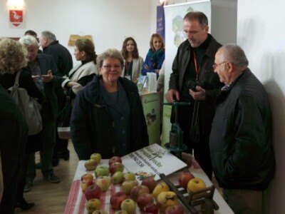 Izložba jabuka u Sv. Martinu na Muri