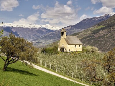 Jabuke u Južnom Tirolu Jabuke u Južnom Tirolu