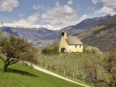 Jabuke u Južnom Tirolu