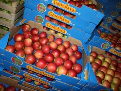 Jabuke spremne za police