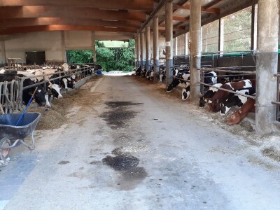 Jači od korone Jači od korone