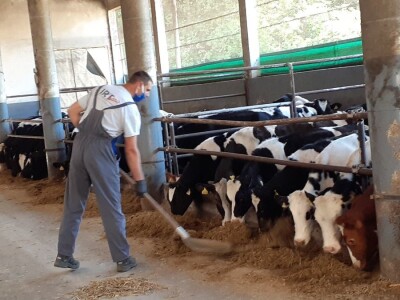 Jači od korone Jači od korone