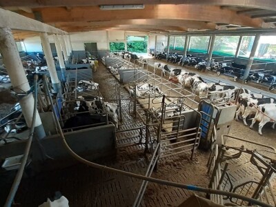 Jači od korone Jači od korone