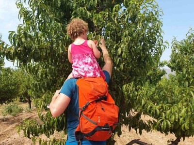 Jaffa Komerc i Jaffa plantaže u Blagaju