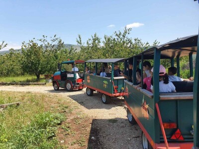 Jaffa Komerc i Jaffa plantaže u Blagaju