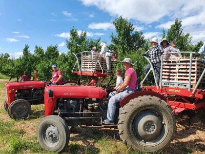 Jaffa Komerc i Jaffa plantaže u Blagaju