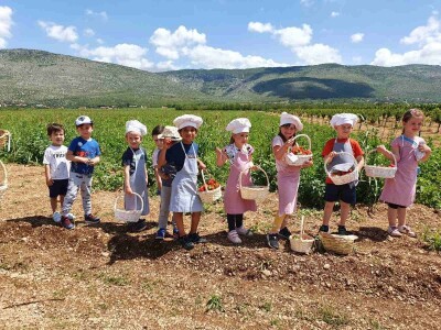 Jaffa Komerc i Jaffa plantaže u Blagaju