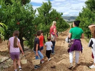 Jaffa Komerc i Jaffa plantaže u Blagaju