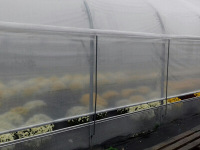 Proizvode na 3000 m2 zatvorenog prostora